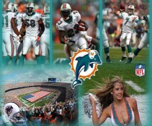 Puzle Miami Dolphins