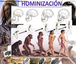 Puzle Proces hominizace