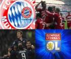 Liga mistrů UEFA semifinále 2009-10, FC Bayern München - Olympique Lyonnais
