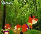 Pokopet Fox z Panfu