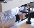 Vědec s mikroskopem v laboratoři