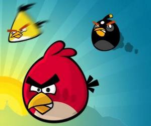 Puzle Tři z ptáků z Angry Birds